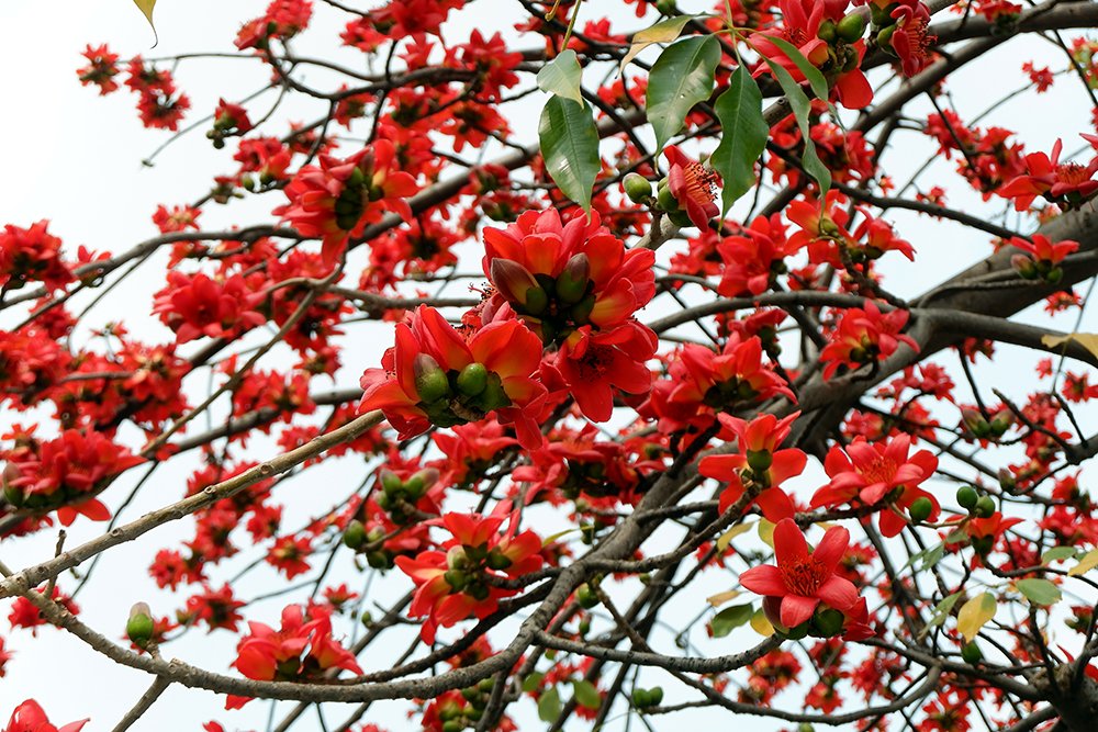 1747703114963802.jpg 2.jpg