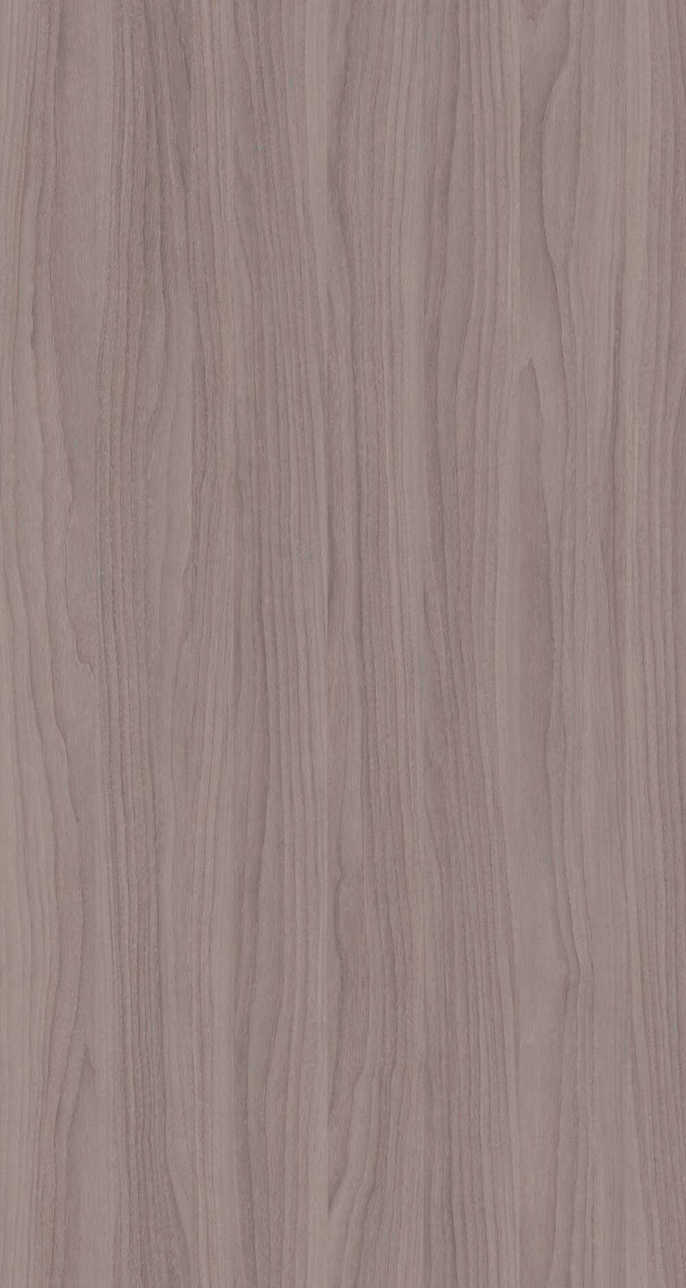 YDHTB1112 波特兰胡桃