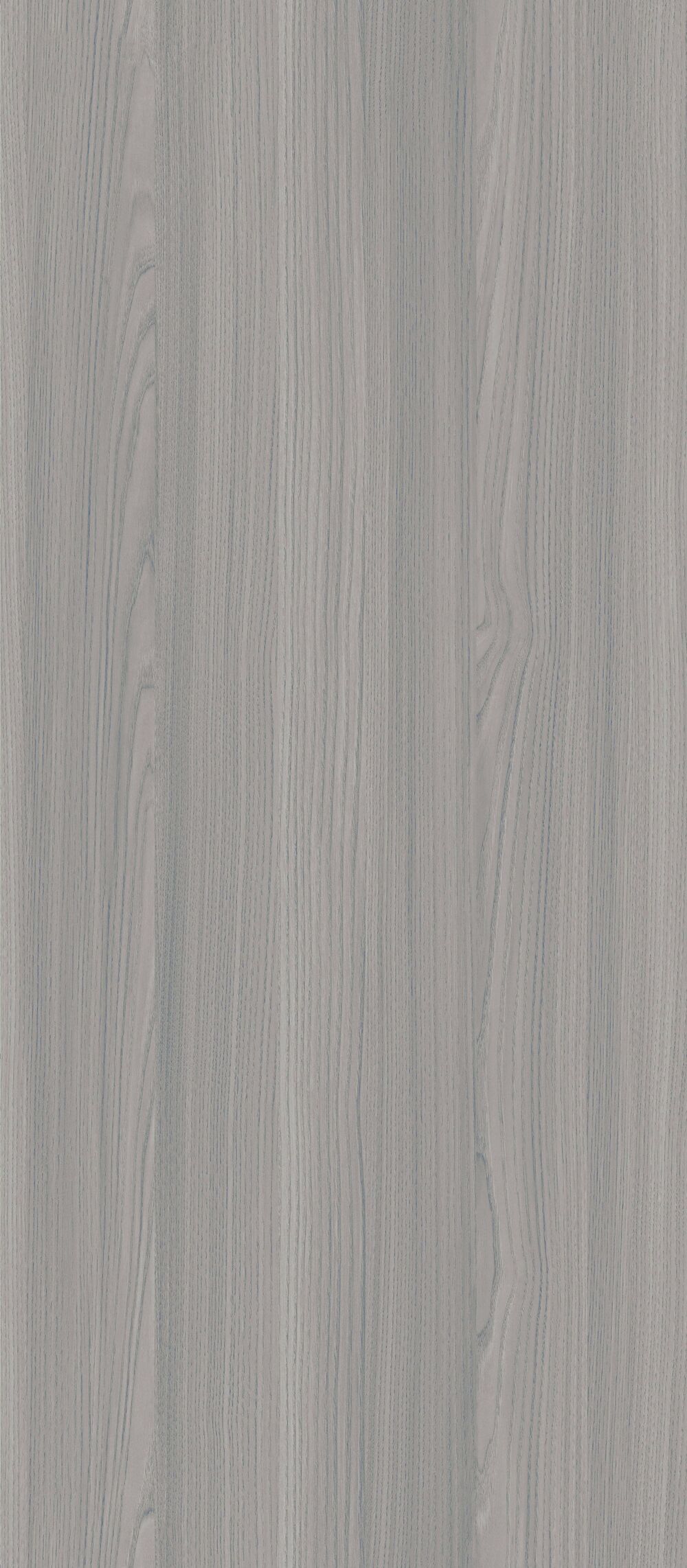 YDHTB1211 拉普兰榆木