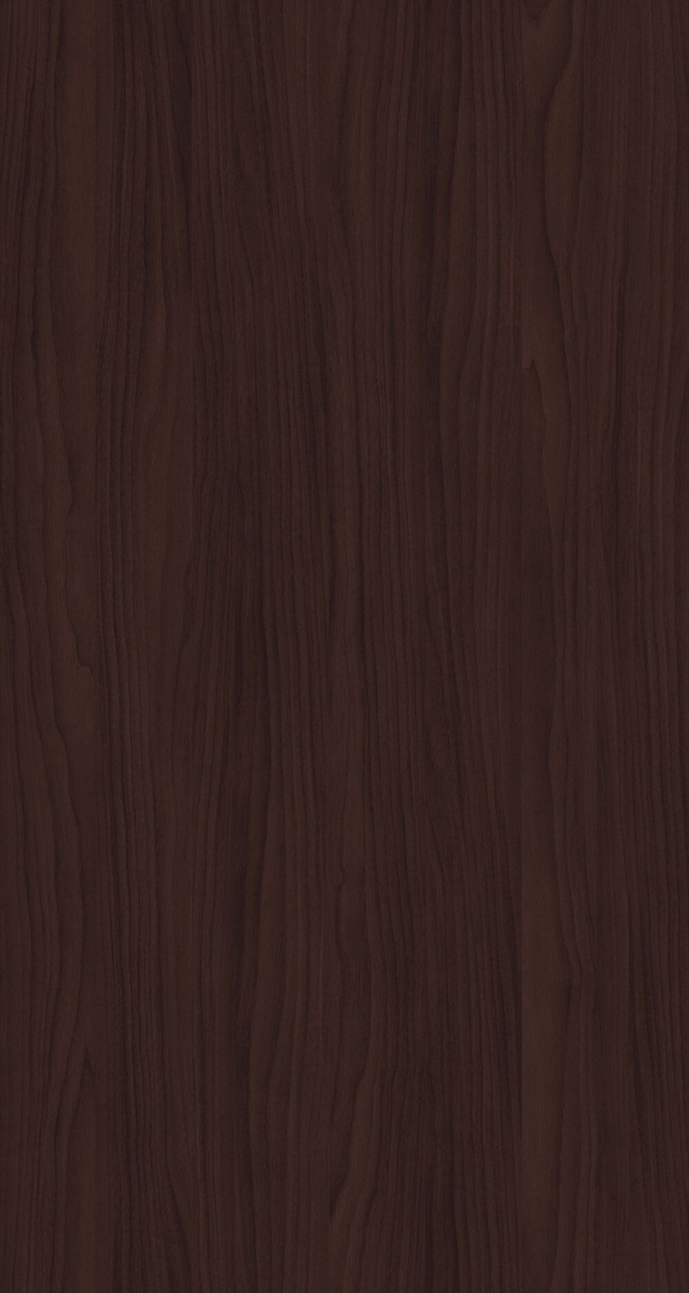 YDHTB1112 波特兰胡桃