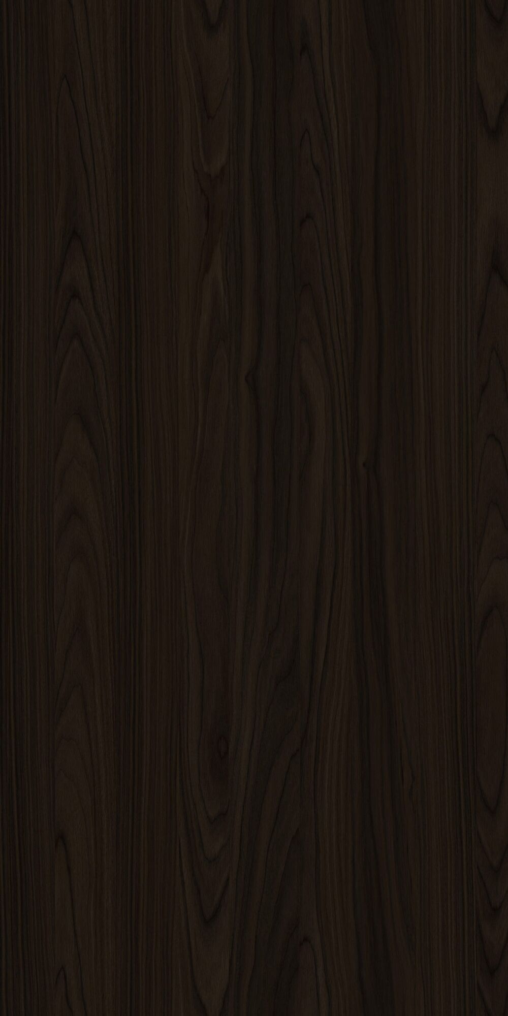 YDHTB1052 安科纳胡桃 