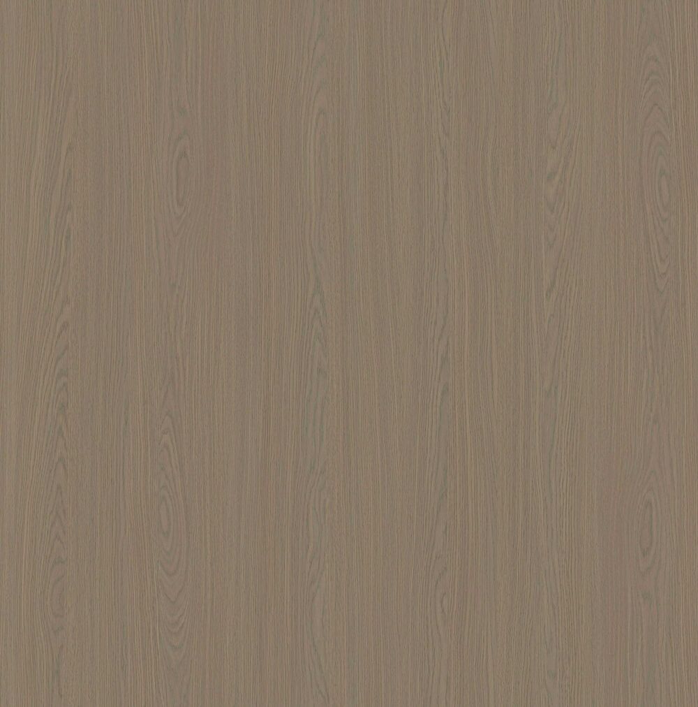 YDHTB1253博洛尼亚橡木